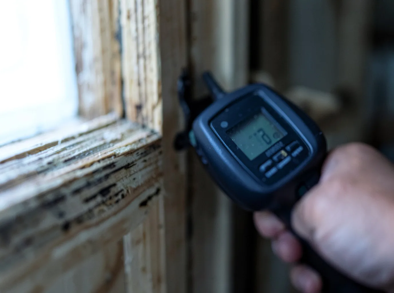 Moisture Inspection And Documentation in Orogrande, NM